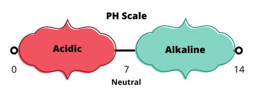 PH Scale Alkaline Environment Cancer