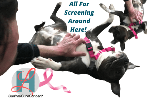 Breast cancer screening breast cancer awareness men and women breast cancer awareness month pets