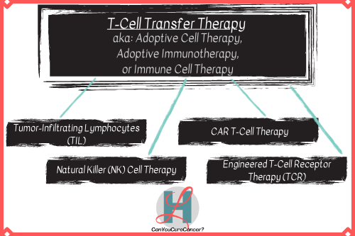 Immunotherapy T-Cell Transfer Therapy Adoptive Cell Therapy