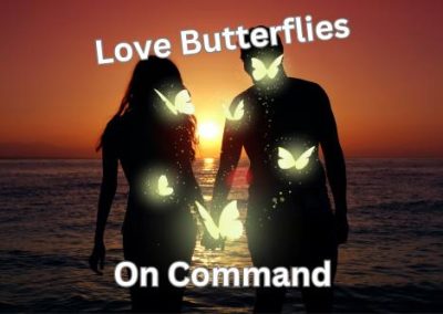 Love Butterflies
