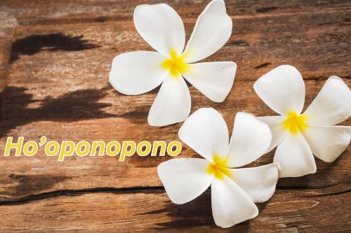 Ho'oponopono Sessions for purchase
